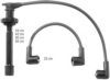 BERU ZEF896 Ignition Cable Kit